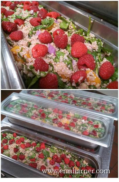 Raspberry Spinach Quinoa Salad_Group