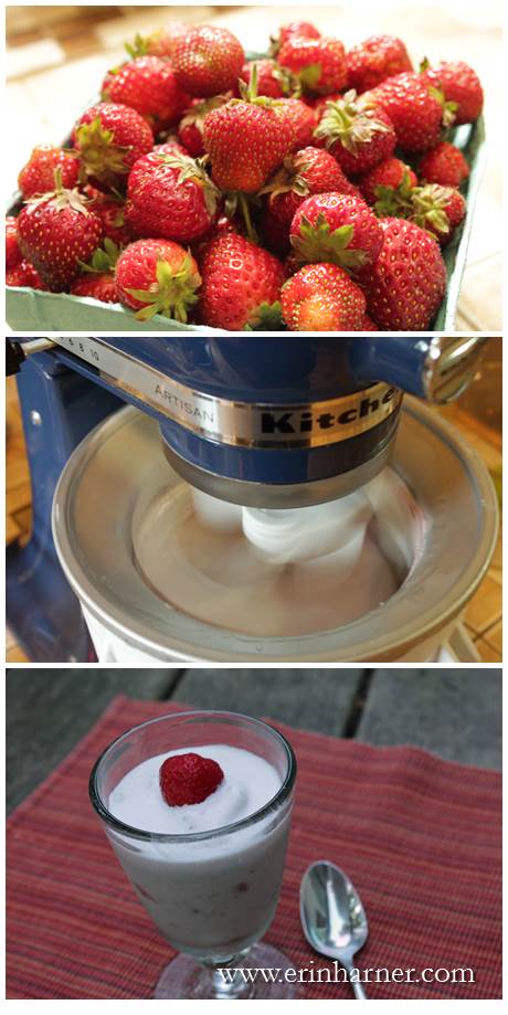 Strawberry Coconut Ice Cream