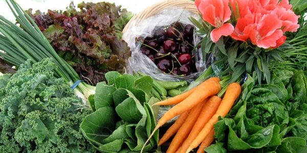 A sample community supported agriculture share full of high quality fresh vegetables.