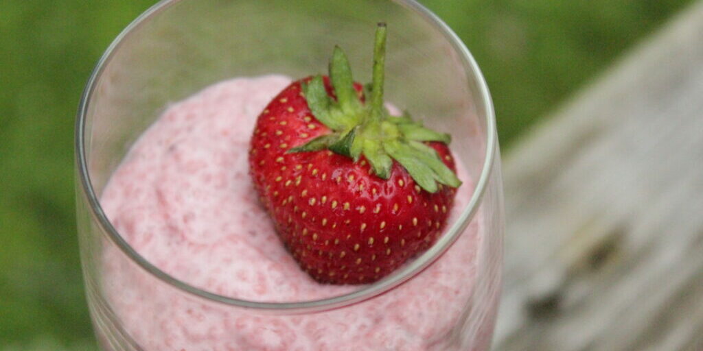 Strawberry Dream Chia Pudding | www.erinharner.com