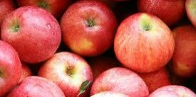 Apples